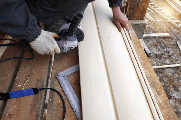 Best Vinyl Siding Installation  in Alamo, TN