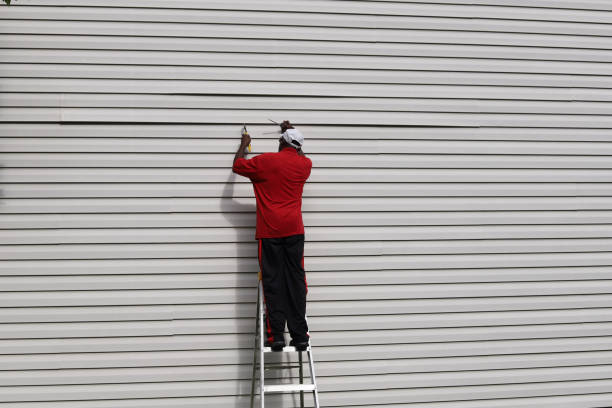 Best Fascia and Soffit Installation  in Alamo, TN