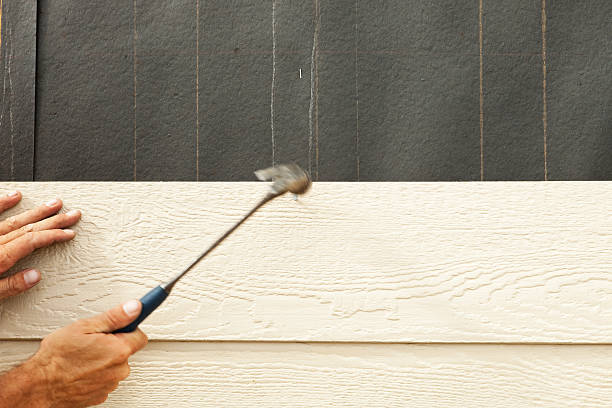  Alamo, TN Siding Pros